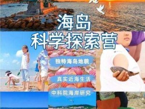 关于海岛大亨5的海岛深度探索方法指南