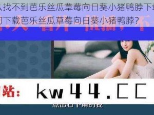 为什么找不到芭乐丝瓜草莓向日葵小猪鸭脖下载资源？如何下载芭乐丝瓜草莓向日葵小猪鸭脖？