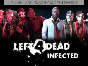 独立求生之路：DayZ独立版生存技巧全解析