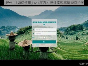 java农村野外hd 如何使用 Java 在农村野外实现高清晰度的图像处理？