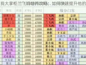 叫我大掌柜兰飞鸿培养攻略：如何快速提升他的实力