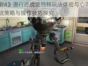 《辐射4》潜行近战流独特玩法体验与心得分享：实战策略与操作技巧探究