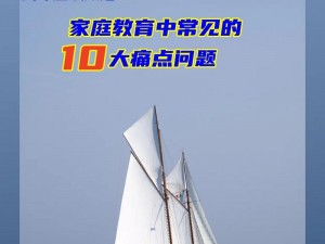 2024 全国精品卡一卡二，为何如此受欢迎？怎样解决使用过程中的痛点？