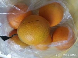 橙子 3 第 33 关视频攻略：突破难关的终极秘籍