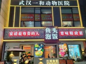 落银城烹饪店：探索神秘美食的起点