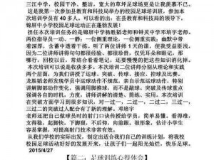 FIFA足球经理13团队协同培养心得分享：深度探讨团队配合在足球训练中的实践与体会