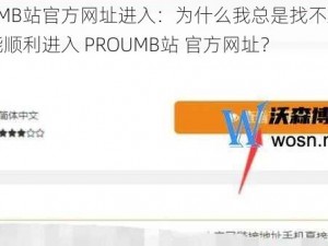 PROUMB站官方网址进入：为什么我总是找不到？如何才能顺利进入 PROUMB站 官方网址？