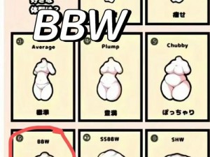 大 BBWC 是什么？为什么它如此受欢迎？如何选择适合自己的大 BBWC？