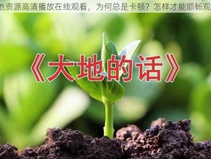 大地资源高清播放在线观看，为何总是卡顿？怎样才能顺畅观看？