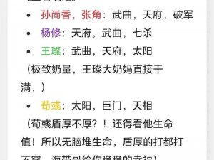 神无月战士星石搭配详解：战士星石搭配策略及实战应用分析