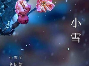 为什么小雪真棒能进去？如何进入小雪真棒？怎样才能让小雪真棒进入？