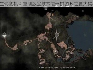 《生化危机 4 重制版宝藏六边形拼图 B 位置大揭秘》