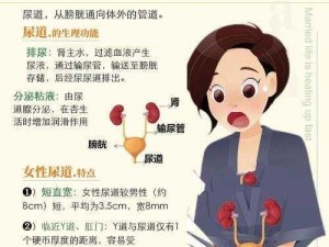 尿道责罚,为什么女性尿道会经常发生感染？