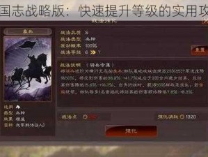 三国志战略版：快速提升等级的实用攻略