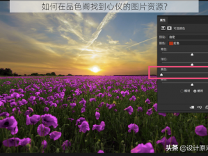 如何在品色阁找到心仪的图片资源？