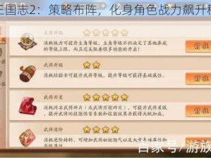 少年三国志2：策略布阵，化身角色战力飙升秘籍全解析