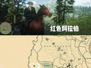 《荒野大镖客》四匹战马及抓马地点解析：驰骋西部的传奇坐骑