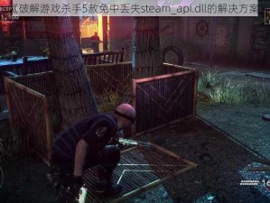 《破解游戏杀手5赦免中丢失steam_api.dll的解决方案》