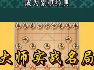 高手对决野棋截图预览，震撼登场