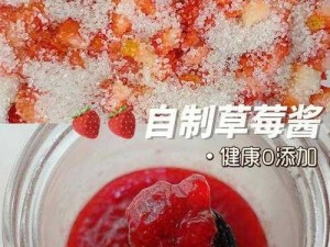 H 厨房灌草莓——精心制作的美味草莓酱，口感浓郁，营养丰富