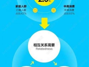 国内精自品线一区 91：为何如此受欢迎？怎样满足用户需求？