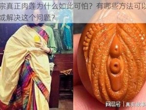 密宗真正肉莲为什么如此可怕？有哪些方法可以避免或解决这个问题？