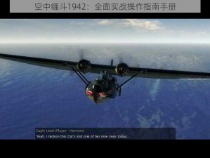 空中缠斗1942：全面实战操作指南手册