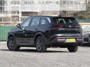 高品质、大空间、强动力，久久日产一线二线三线 SUV，你值得拥有