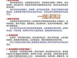 足球之王转会秘籍：如何使用这一神奇功能？