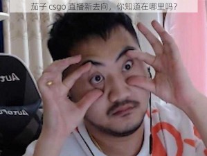 茄子 csgo 直播新去向，你知道在哪里吗？