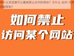 用什么浏览器可以看被禁止访问的网站？为什么-如何-怎样突破限制？