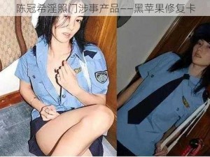 陈冠希淫照门涉事产品——黑苹果修复卡