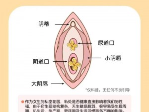 你的东西比老公大得多？为何你的私密花园会有坠胀感？如何解决？