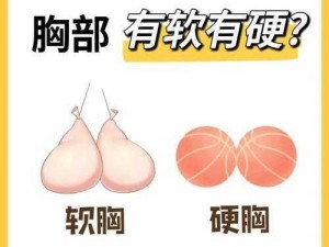 女生胸前的两个大包包为什么这么大？有什么用？如何变小？