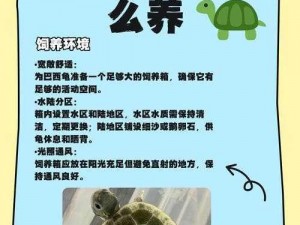 为什么民工的大头龟如此受欢迎？如何挑选适合自己的民工的大头龟？怎样饲养民工的大头龟？