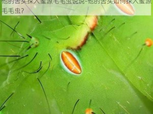 他的舌头探入蜜源毛毛虫说说-他的舌头如何探入蜜源毛毛虫？