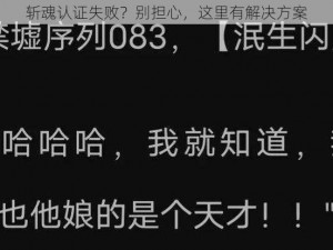 斩魂认证失败？别担心，这里有解决方案