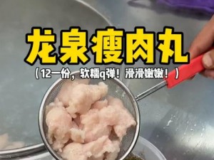 肉丸书吧的肉丸为什么如此美味？如何才能做出美味的肉丸？在肉丸书吧怎样才能享受最舒适的阅读体验？