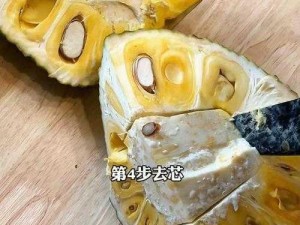 菠萝蜜视频在线观看，如何解决卡顿问题？