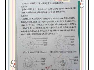 关于细胞分裂六键位设置的心得与体验分享