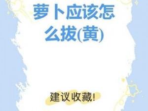 为什么拔萝卜又黄又硬？如何解决这个问题？