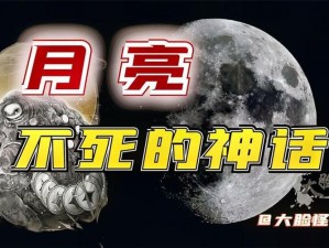 神都夜行录未知领域：探寻不属于上古神话地球六界的神秘一界