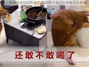 晚上喝酒回来和狗狗做了(震惊男子酒后与狗做出这种事)