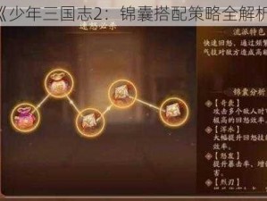 《少年三国志2：锦囊搭配策略全解析》