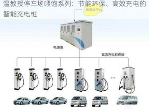温教授停车场喂饱系列：节能环保、高效充电的智能充电桩