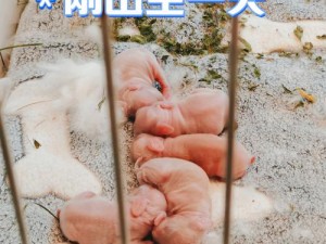 男生咬我的小兔兔描述一下、男生咬我的小兔兔，这是一种怎样的感觉？