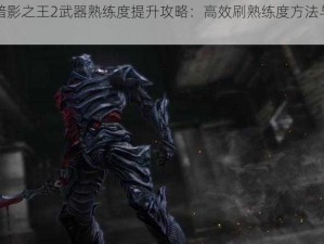 恶魔城暗影之王2武器熟练度提升攻略：高效刷熟练度方法与技巧分享