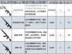 《使命召唤9》黄金刀解锁攻略：详细步骤与技巧解析