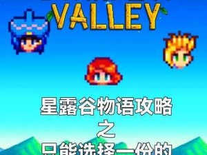 星露谷物语 Willy 失踪之谜：寻找 Willy 的冒险之旅