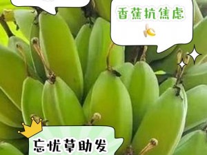 香蕉久久丫精品忘忧草产品(香蕉久久丫精品忘忧草产品真的有那么好吗？)